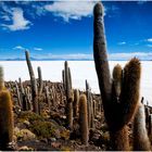 [ Salar de Uyuni ]