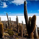 [ Salar de Uyuni ]