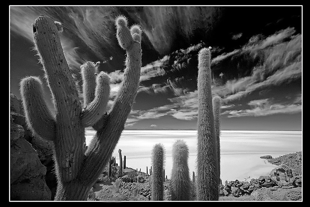 Salar de Uyuni