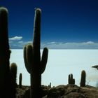 Salar de Uyuni Bild2