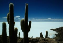 Salar de Uyuni Bild2