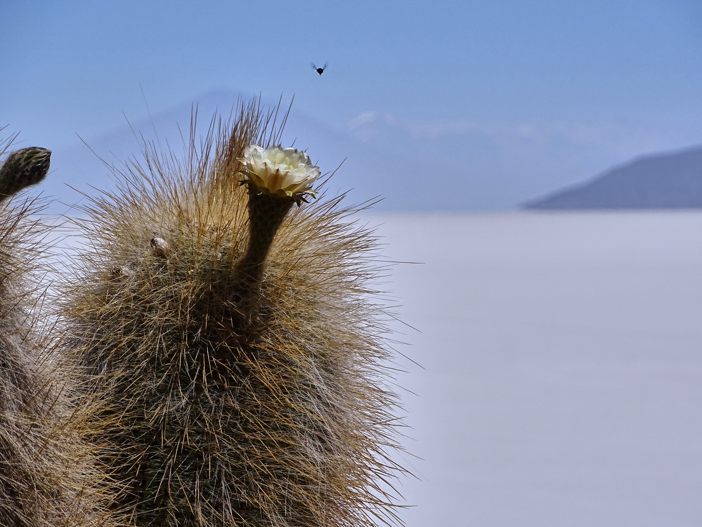 Salar de Uyuni, Bolivia