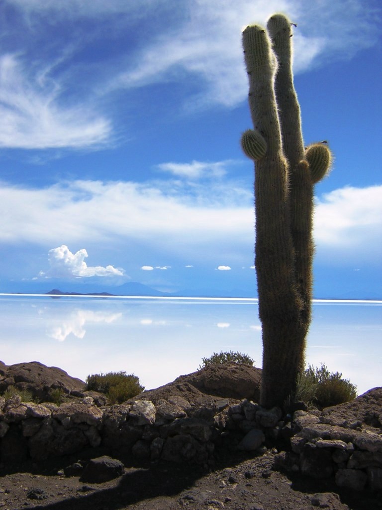 Salar de Uyuni