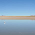 Salar de Uyuni