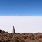 Salar de Uyuni - Isla del Incahuasi