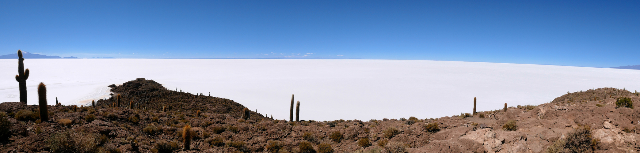 Salar de Uyuni - Isla del Incahuasi