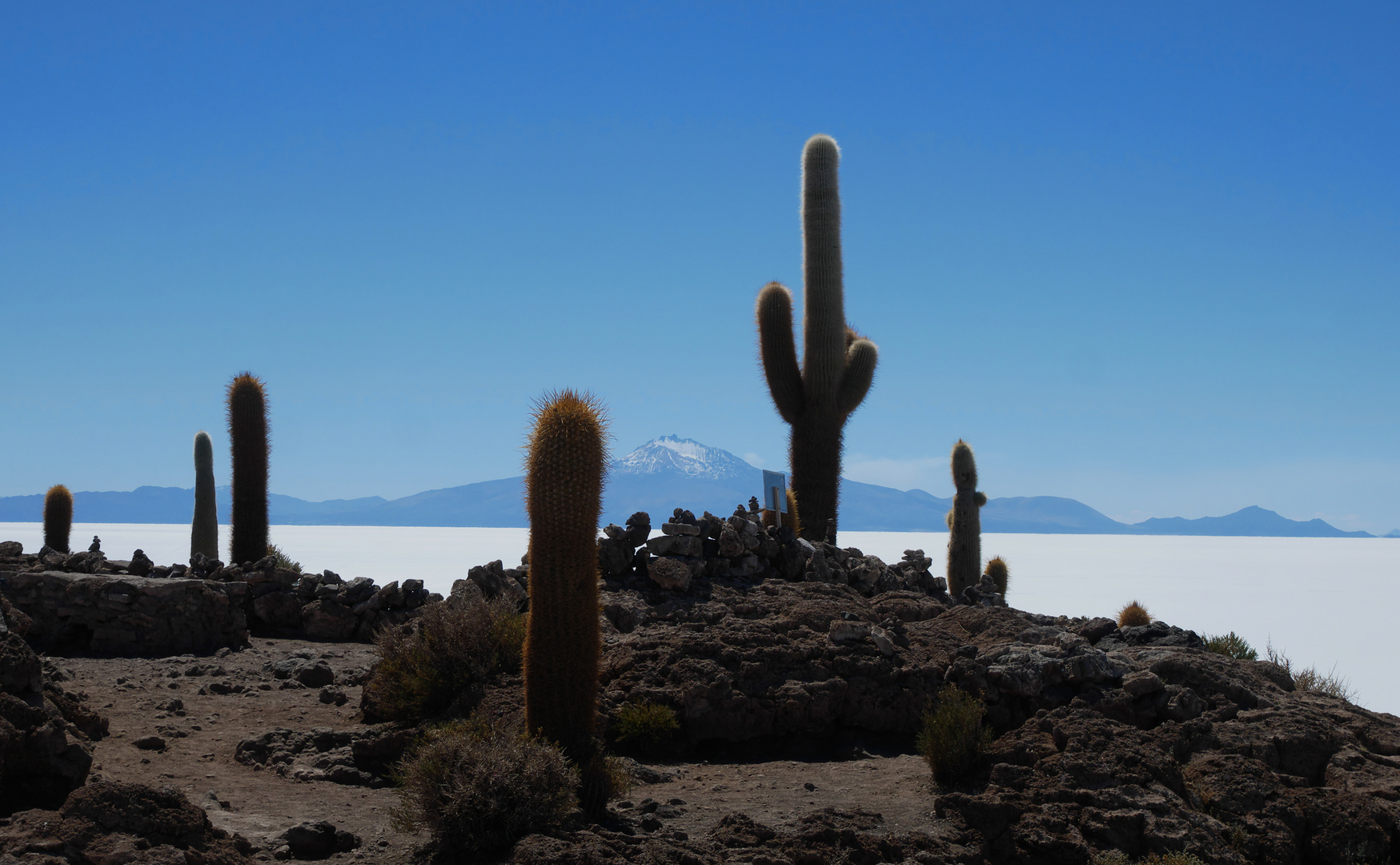 Salar de Uyuni - Isla del Incahuasi