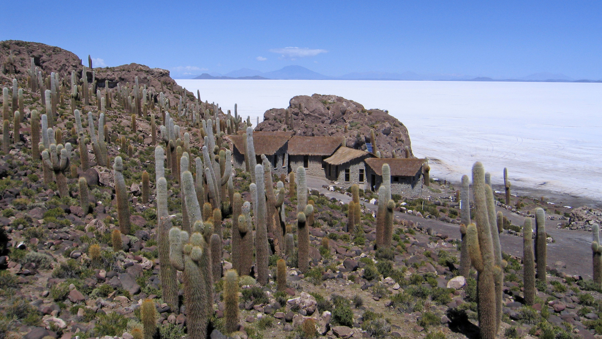 Salar de Uyuni Kakteeninsel Inkahuasi Bolivien