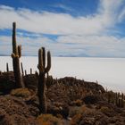 Salar Uyuni