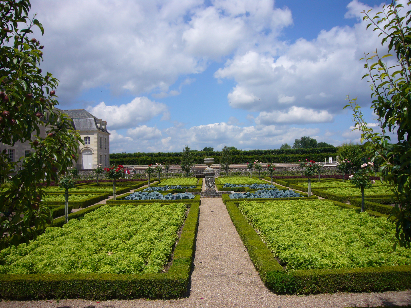 Salatbeete im Schloßpark von Villandry