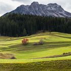 Salauf Graubünden                       DSC_3081