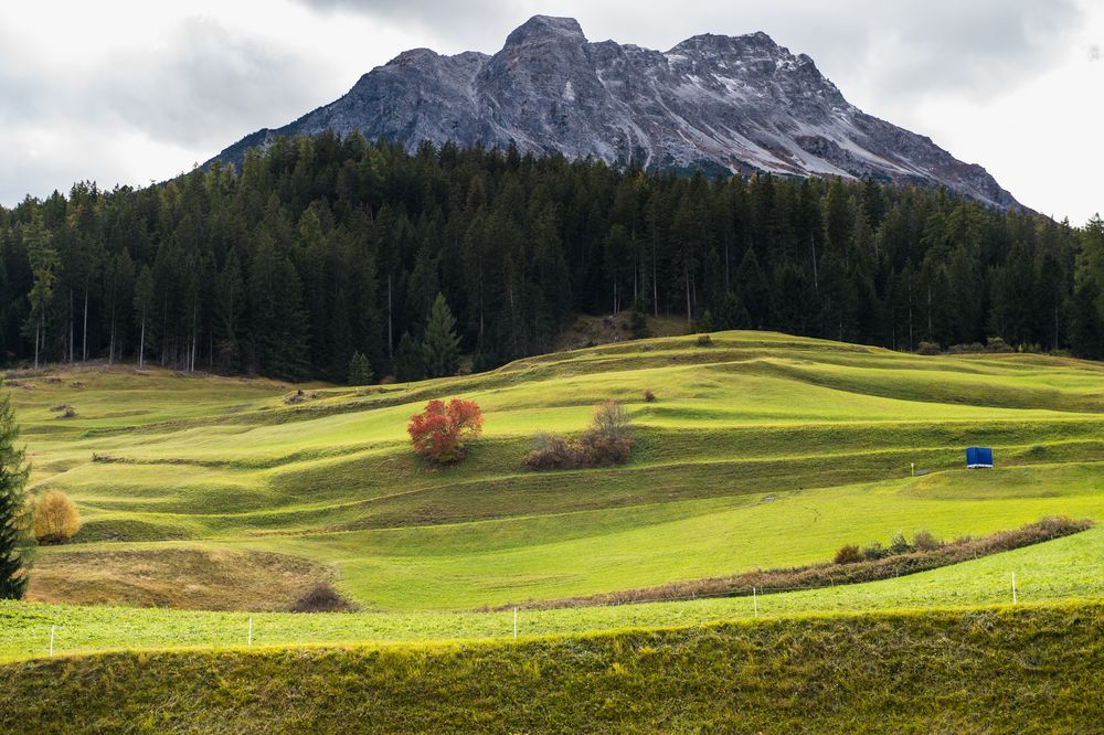 Salauf Graubünden                       DSC_3081