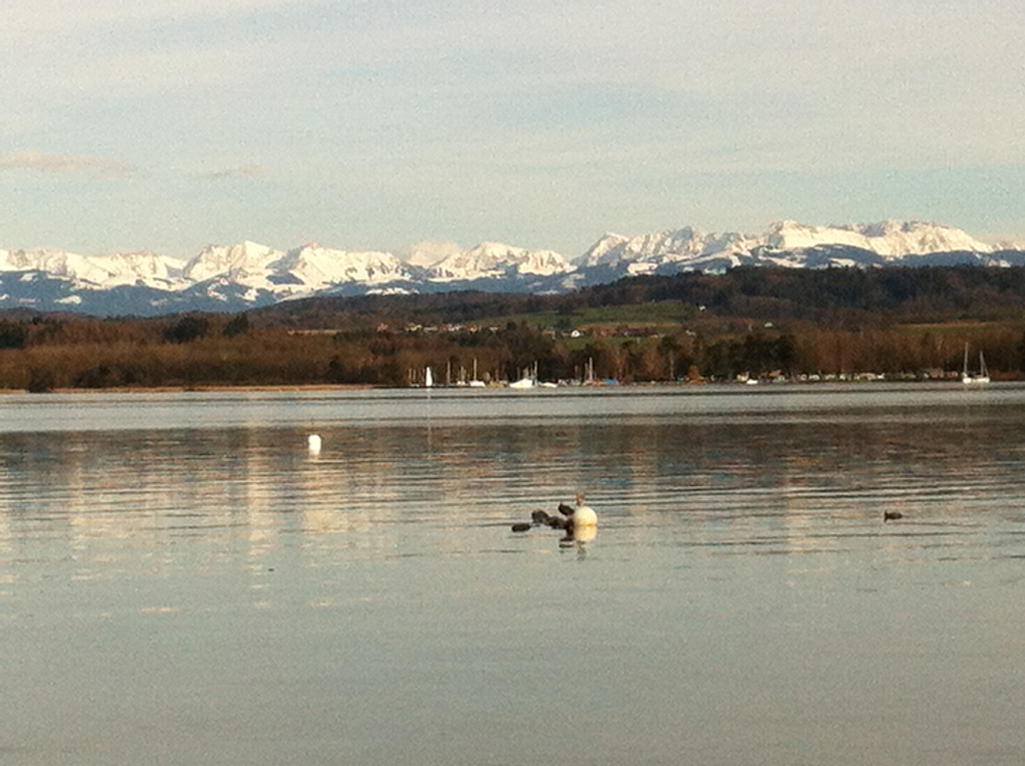 Salavaux, Lac Morat