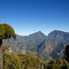 Salazie - La Reunion