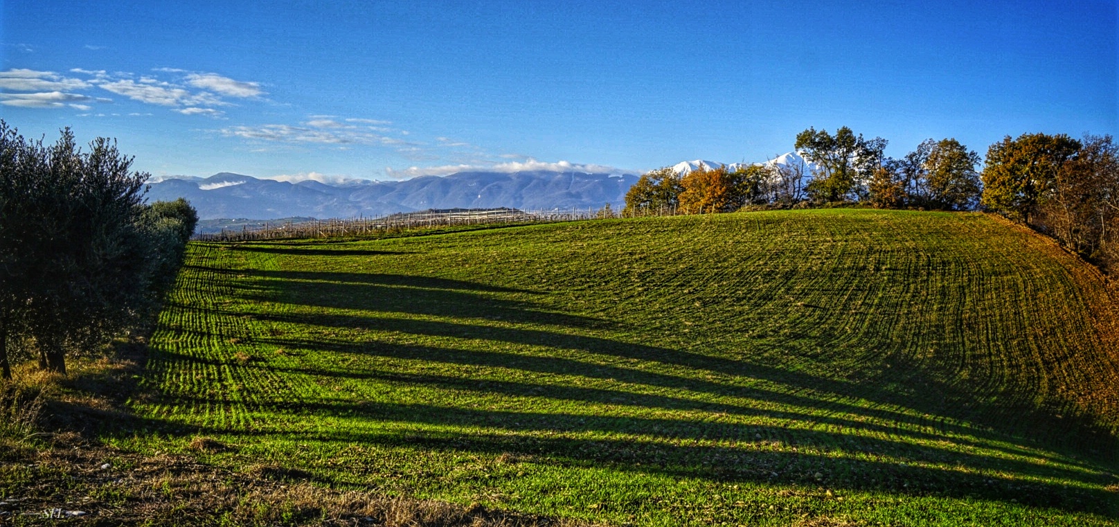 Salben und Pillen