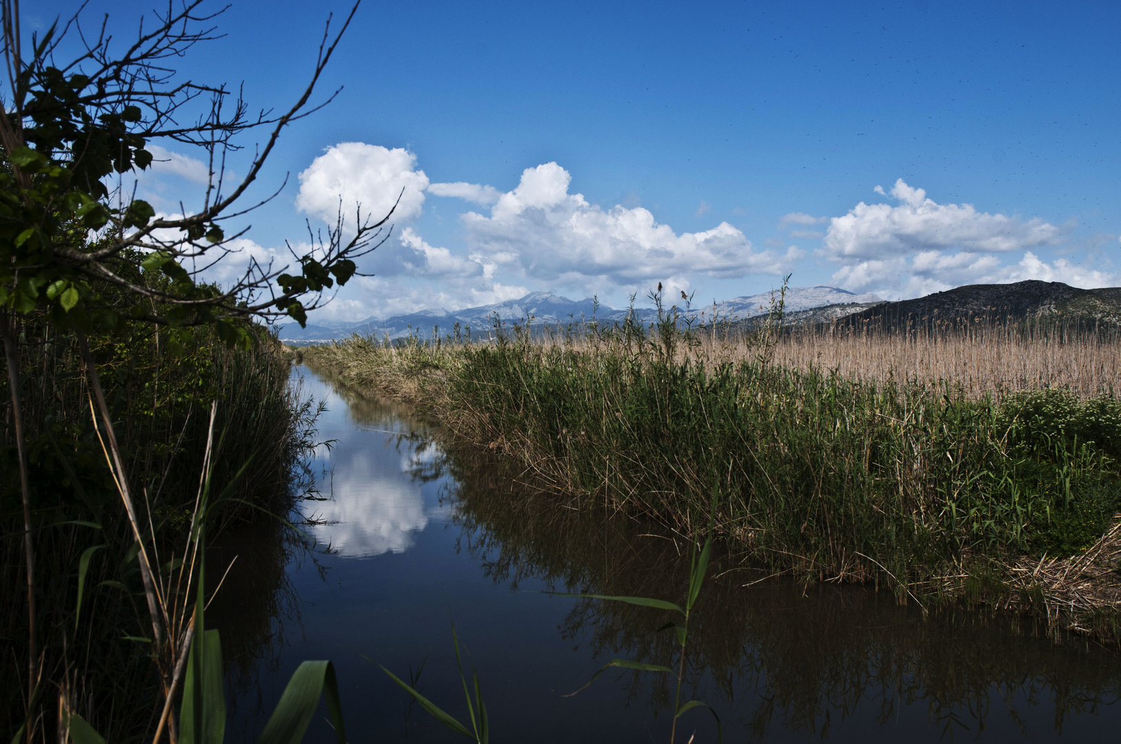 S'Albufera, Alcudia. Mallorca