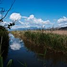 S'Albufera, Alcudia. Mallorca