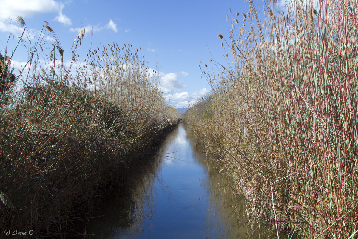 S´Albufera