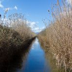 S´Albufera