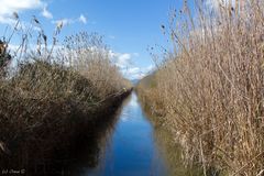 S´Albufera