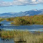 S'Albufera