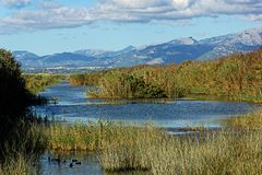 S'Albufera