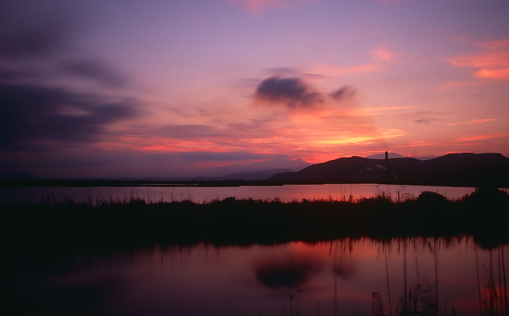 s'Albufera