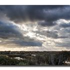 Sale temps sur l'Ile d'Oléron