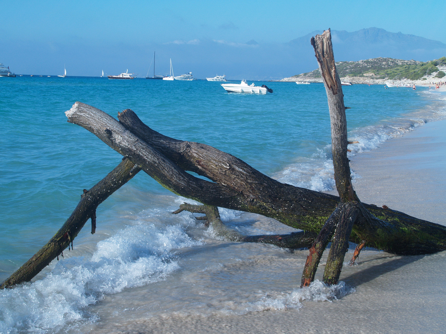 Saleccia Strand