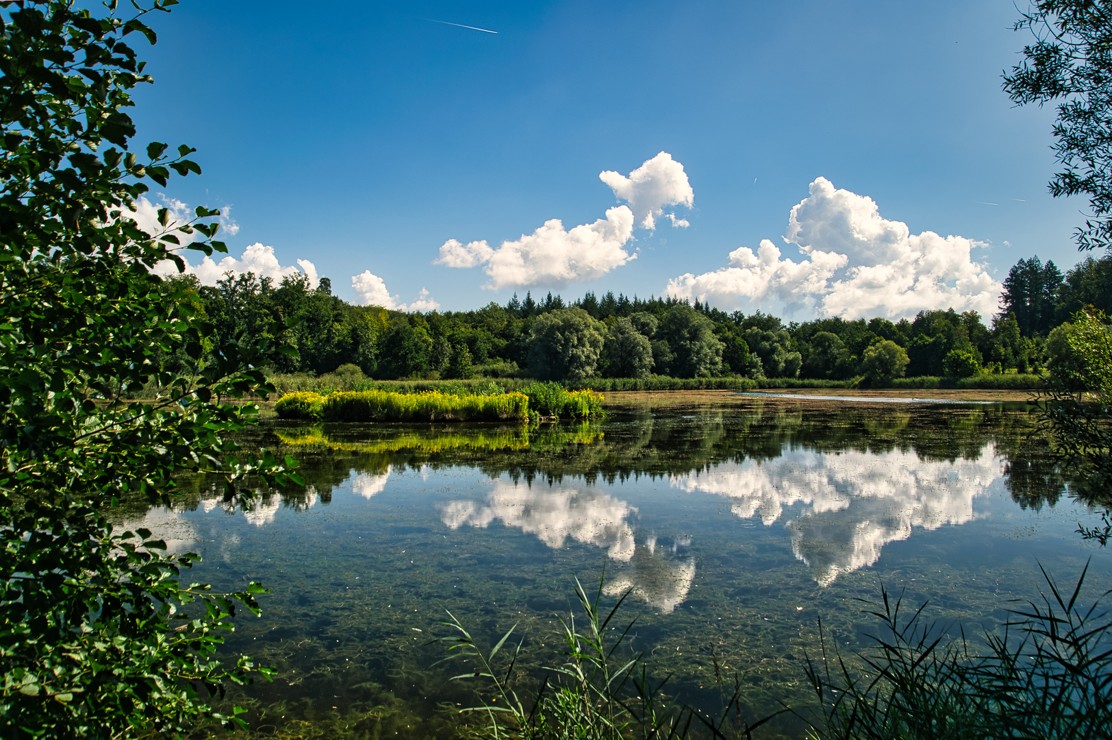 Salem Klosterweiher