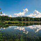 Salem Klosterweiher