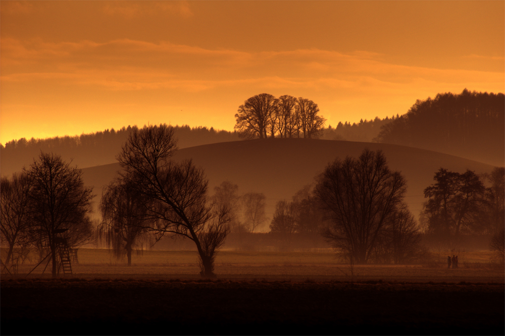 Salem Landscapes