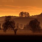 Salem Landscapes