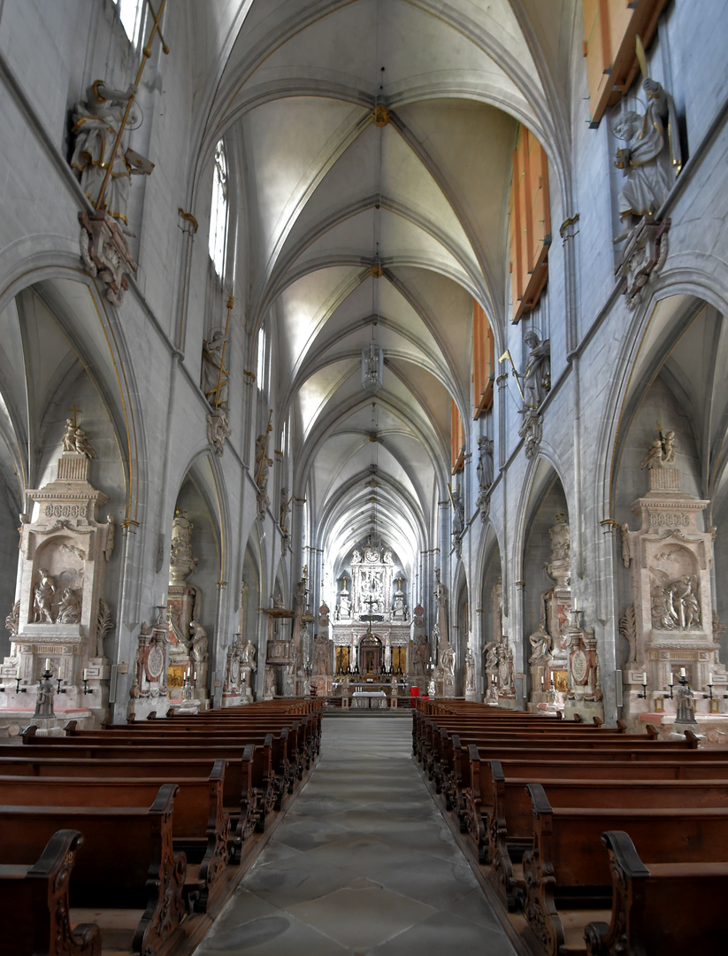 Salemer Münster Blick zum Altar