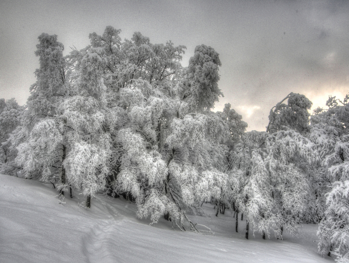 Salendo ai Sap sotto la neve!