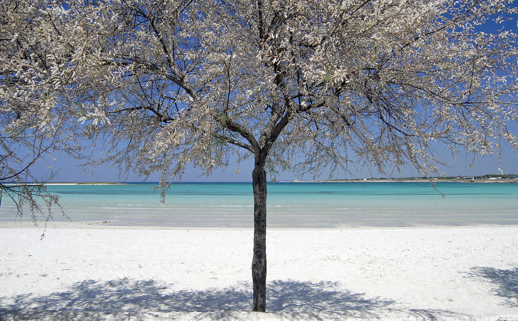 SALENTO: Bianco Azzurro