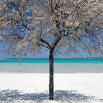 SALENTO: Bianco Azzurro