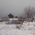 Salento innevato