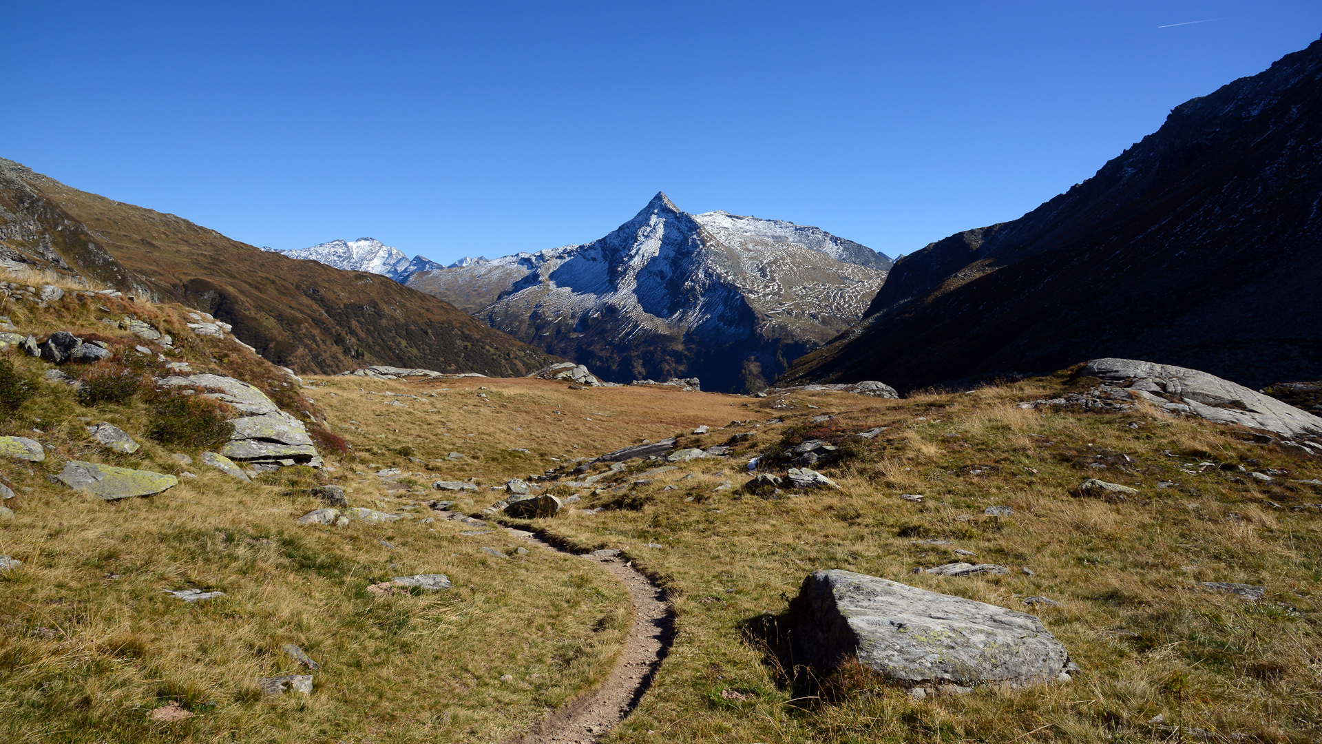 Salesenkogel