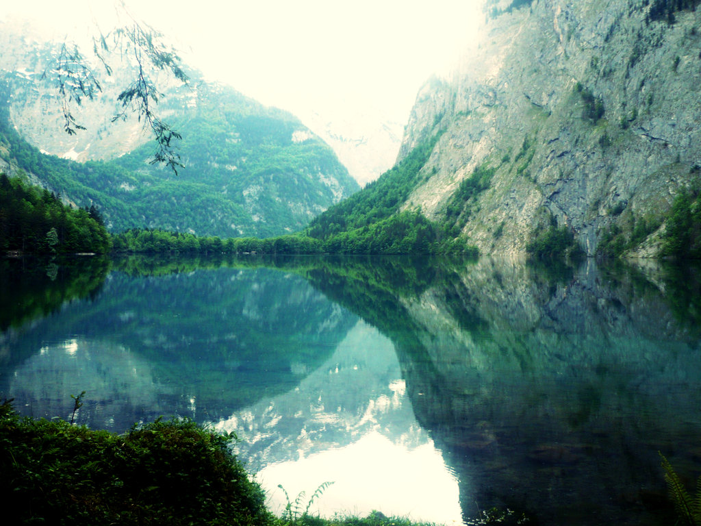 salet am obersee