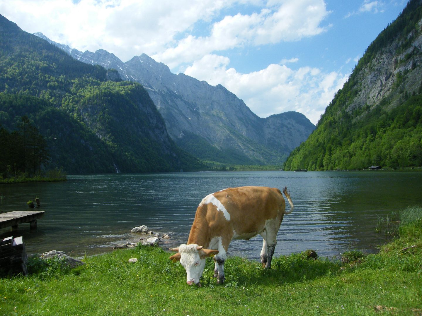 Salet - Königssee