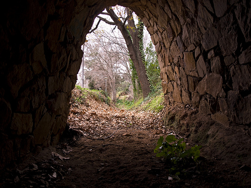 saliendo del agujero