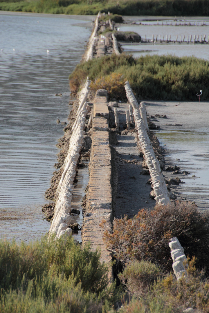 Salin de Frontignan