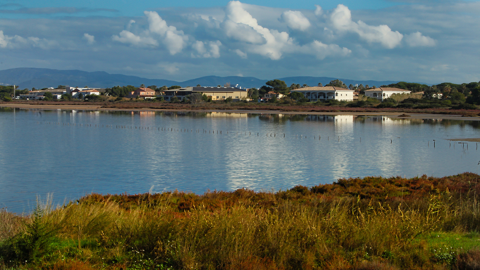 Salin des Pesquiers