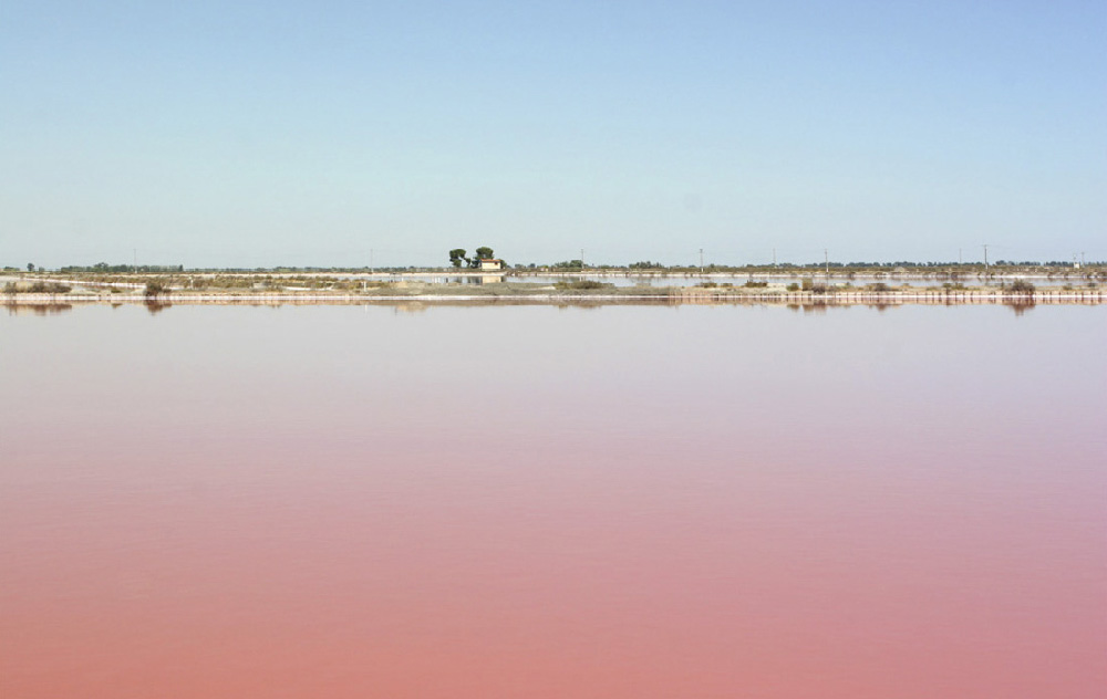 SALIN ROUGE de mariocamelo 