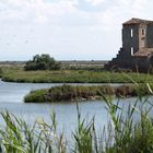 Salina di Comacchio