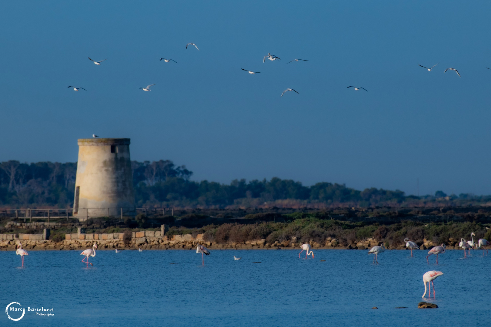 Salina_di_Trapani