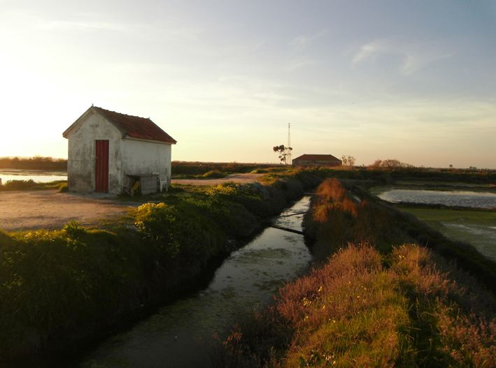 Salinas