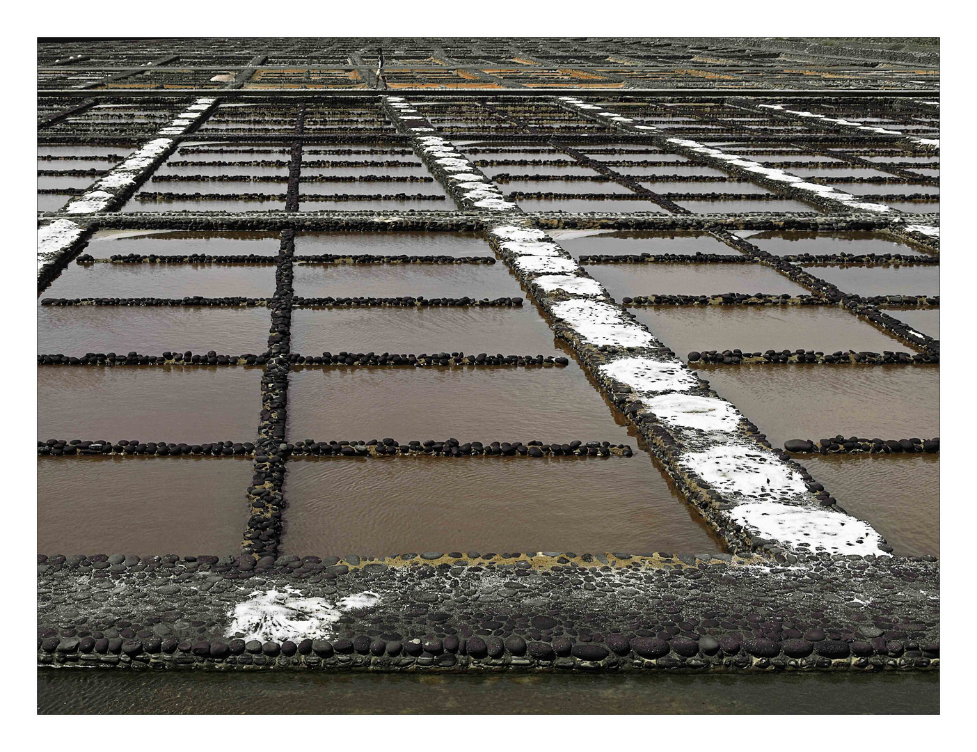 Salinas de el Carmen