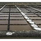 Salinas de el Carmen